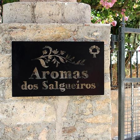 Вілла Aromas Dos Salgueiros Каштелу-де-Віде Екстер'єр фото