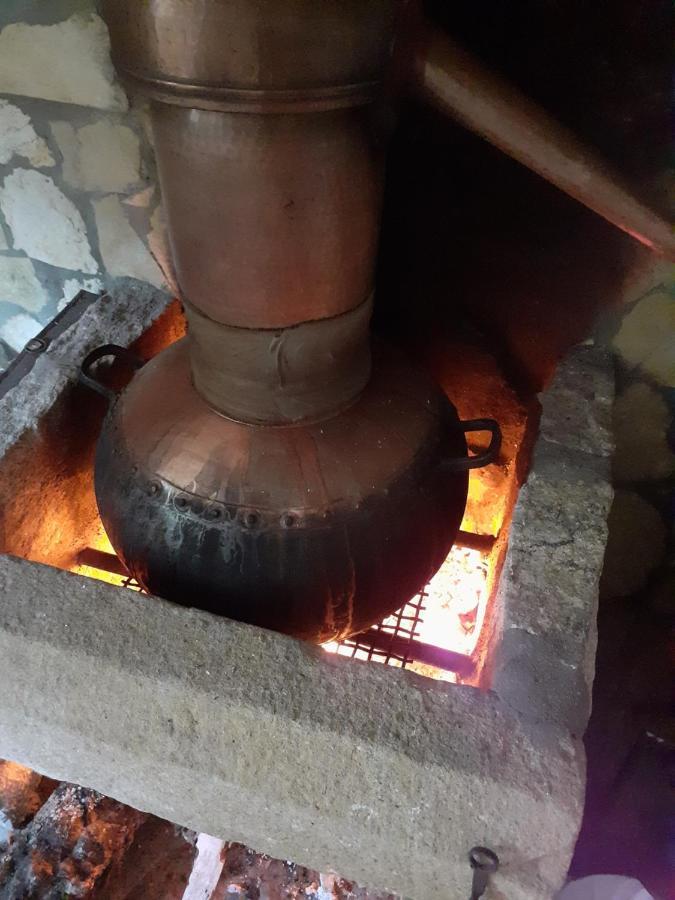 Вілла Aromas Dos Salgueiros Каштелу-де-Віде Екстер'єр фото